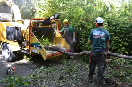 tree services Vicksburg